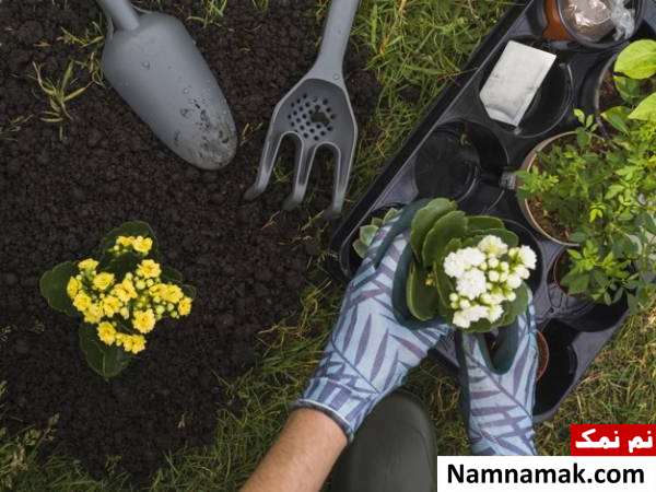 تغذیه خاک گلدان و باغچه تقویت خاک گلدان در منزل