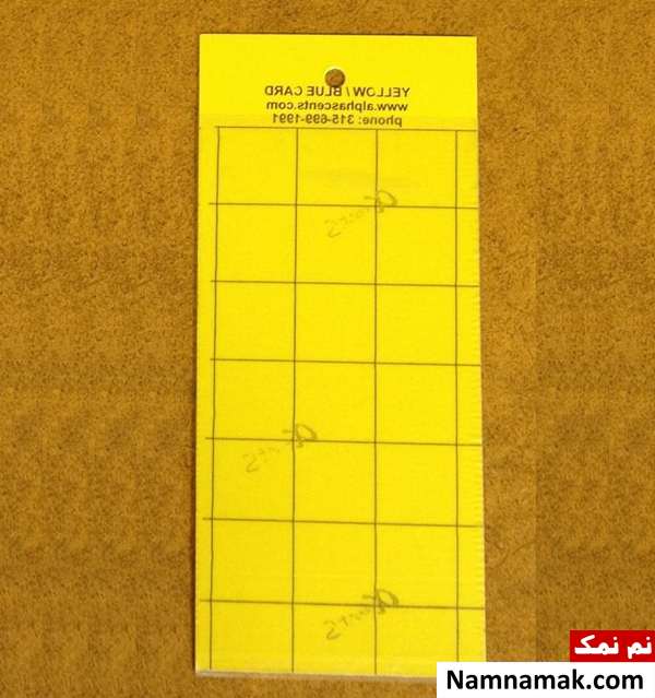 چسب پشه یا چسب پشه گیر یا کارت زرد چسب دار
