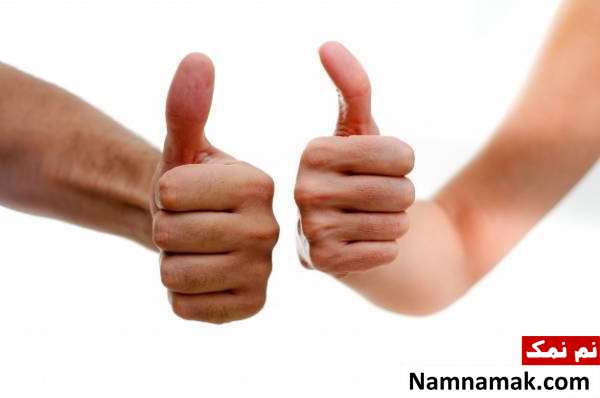 شصت چند ماهیچه دارد؟