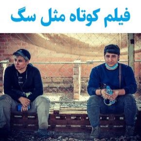 فیلم کوتاه مثل سگ
