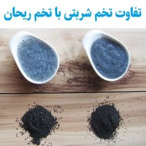 فرق تخم شربتی با تخم ریحان