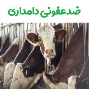 ضدعفونی دامداری