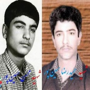 شهیدان حسین پور