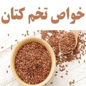 خواص تخم کتان