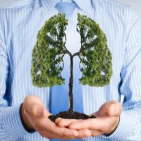 پاکسازی ریه سیگاری ها با معجون ها و اکسیرهای گیاهی
