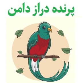پرنده دراز دامن