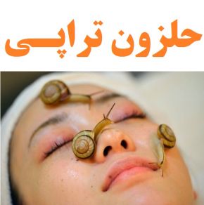 آموزش حلزون تراپی و روش استفاده از حلزون زنده روی پوست