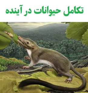تکامل حیوانات در آینده چگونه خواهد بود؟