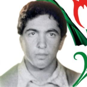ملیحه کافی مادر شهید ظهراب بیات درگذشت + بیوگرافی