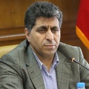 محمدرضا سعیدی سیاستمدار
