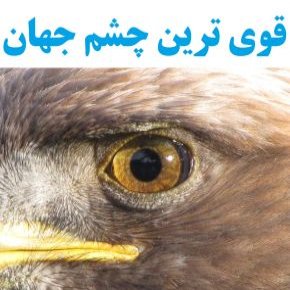 قوی ترین چشم جهان
