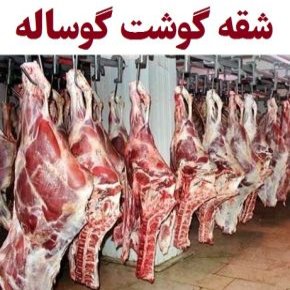 شقه گوشت گوساله