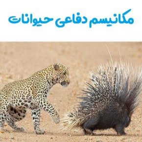مکانیسم دفاعی حیوانات