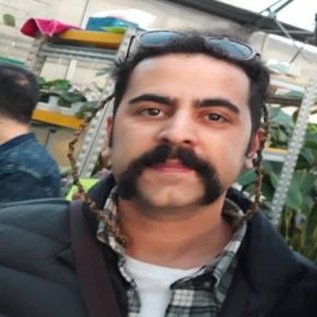امید نعمتی سلبریتی