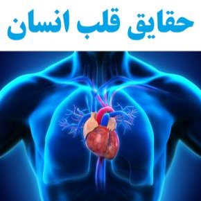 قلب انسان