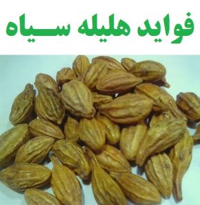 خواص و فواید هلیله سیاه برای سلامتی ، لاغری + عوارض و بارداری