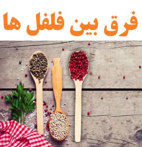 فرق فلفل های سفید ، سیاه ، قرمز چیست؟ + تفاوت در کاربرد