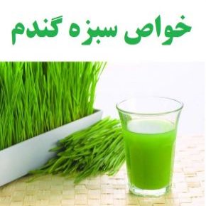 فواید و خواص سبزه گندم ، پودر علف و آب سبزه گندم + عوارض