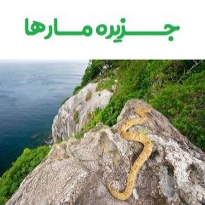 جزیره مارها