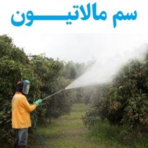 سم مالاتیون
