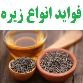 خواص زیره