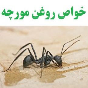 روغن مورچه