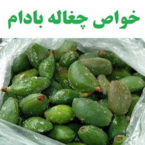 چغاله بادام