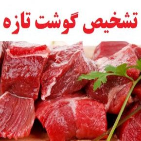 تشخیص گوشت تازه