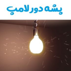 پشه دور لامپ
