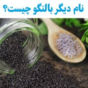 نام دیگر بالنگو