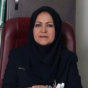 فرزانه انصاری استاندارد کیست؟ + بیوگرافی