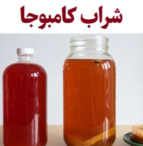 شراب کامبوجا چیست و چقدر الکل دارد؟ + حکم شرعی