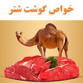 گوشت شتر