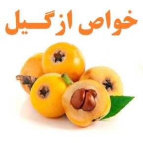 خواص ازگیل