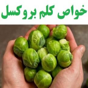خواص کلم بروکسل