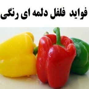 فواید فلفل دلمه ای رنگی
