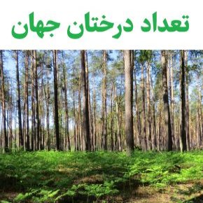 تعداد درختان جهان
