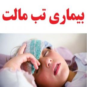 بیماری تب مالت