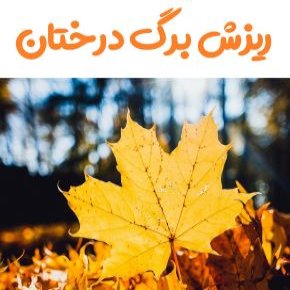 ریزش برگ درختان