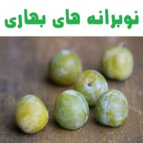 نوبرانه های بهاری