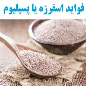 فواید اسفرزه یا پسیلیوم