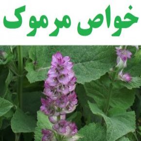 خواص مرموک