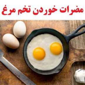 مصرف روزانه تخم مرغ