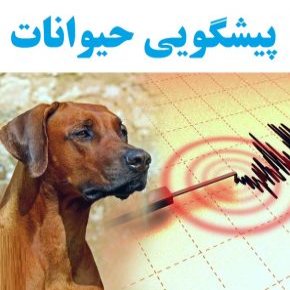 پیشگویی حیوانات