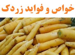 خواص و فواید زردک برای سلامتی و بارداری + نکات خرید و مصرف