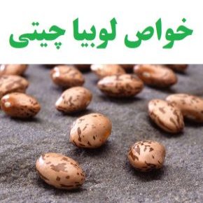 لوبیا چیتی