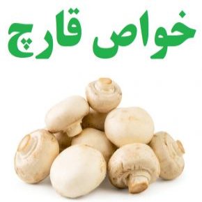 خواص قارچ