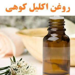 روغن اکلیل کوهی