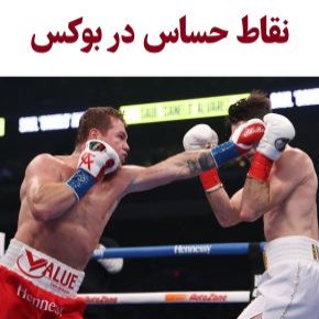 نقاط حساس در بوکس