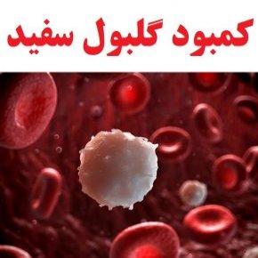 کمبود گلبول سفید